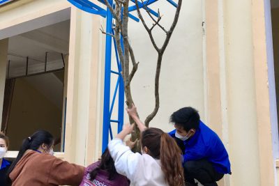 Đoàn viên chi đoàn trường cùng giáo sinh thực tập trồng cây trong khuôn viên trường. .